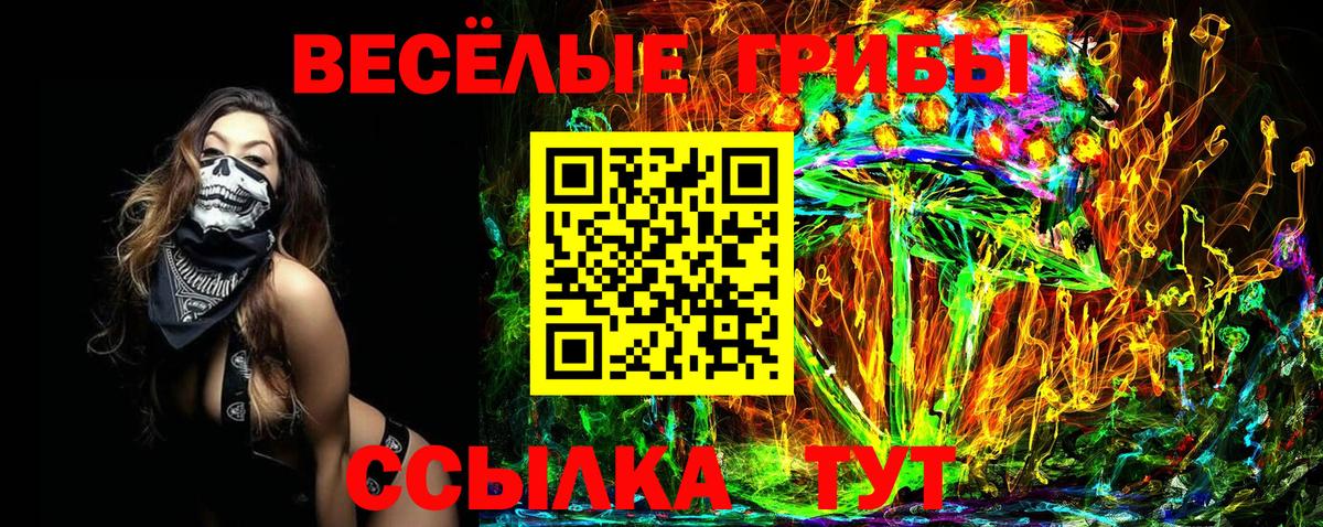 Галлюциногенные грибы прущие грибы Черняховск