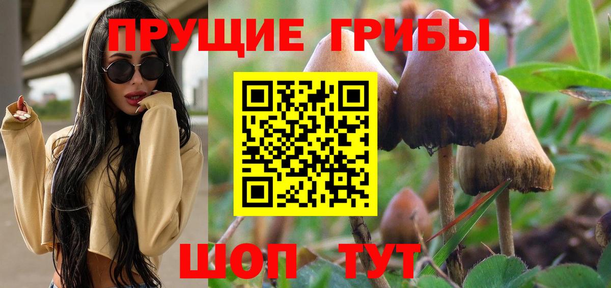 Галлюциногенные грибы Psilocybine cubensis  Галлюциногенные грибы Psilocybe  Вход с VPN  Черняховск 